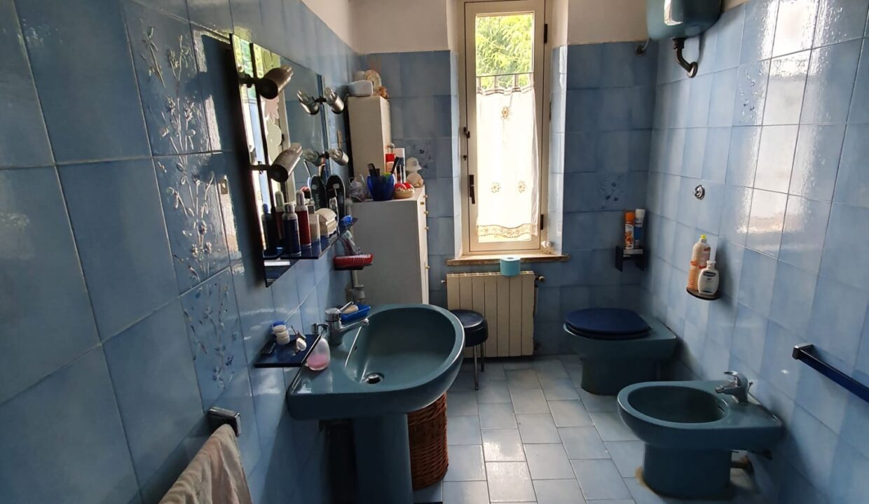 IMG-20220818-WA0055